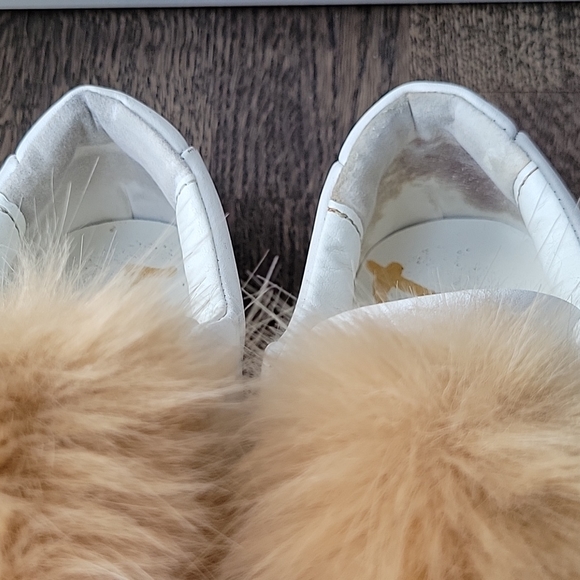 Sam Edelman Shoes - Picture 7 of 8